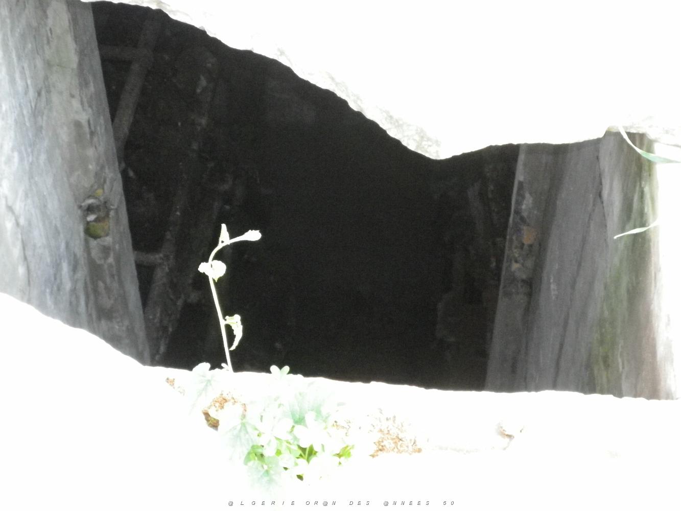CIMETIERE DE TAMAZOUHET D ORAN EN MARS 2012  (49).JPG